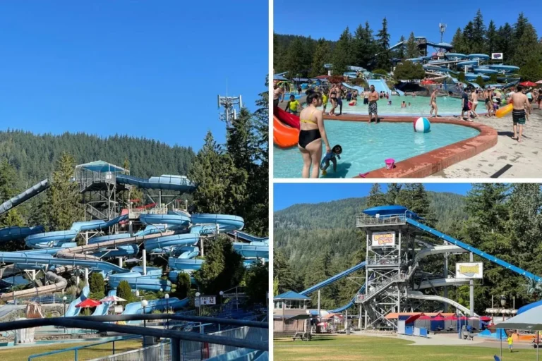 Cultus Waterpark – Everything You Need to Know for a Great Time