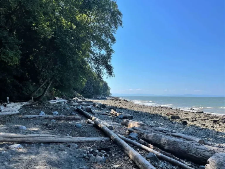 Wreck Beach in Vancouver – Everything You Need To Know