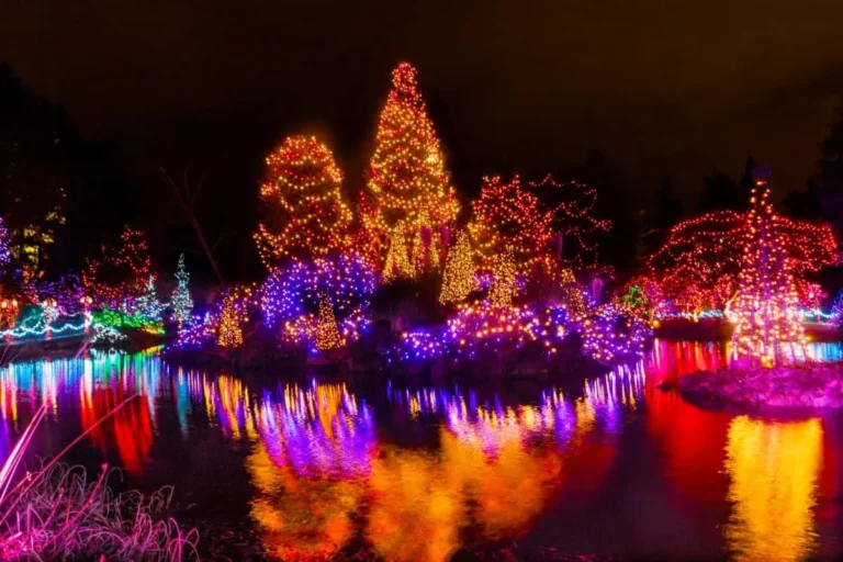 25 Winter Wonders: Vancouver’s Ultimate Cold-Weather Bucket List