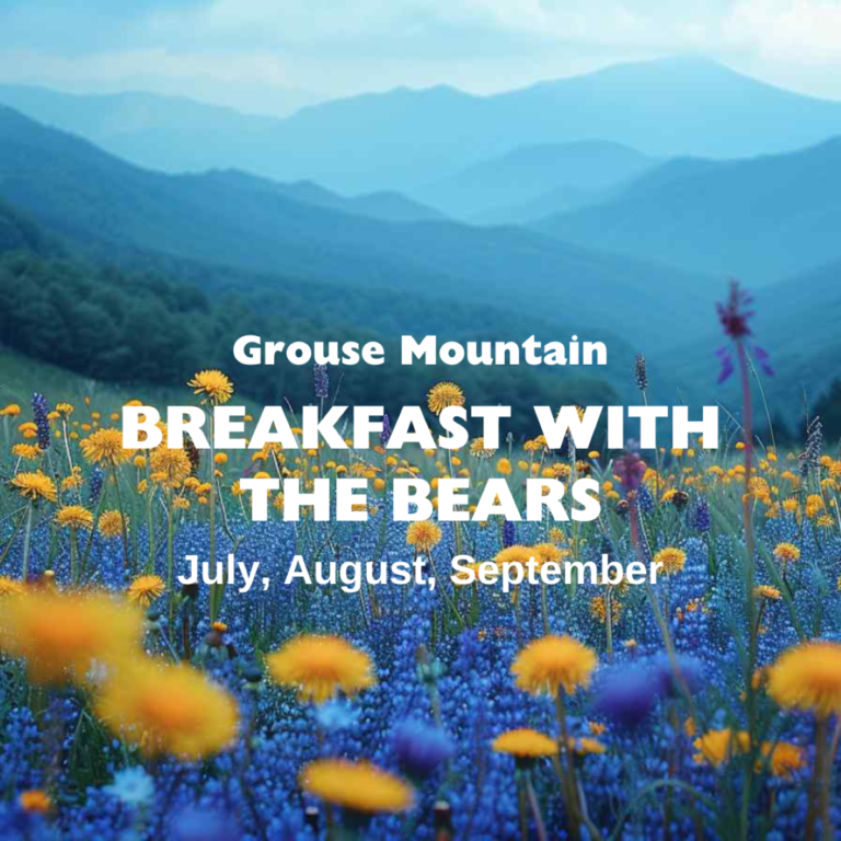 Grouse Mountain Offering Breakfast with the Bears at Wildlife Refuge (Until Sept. 29)