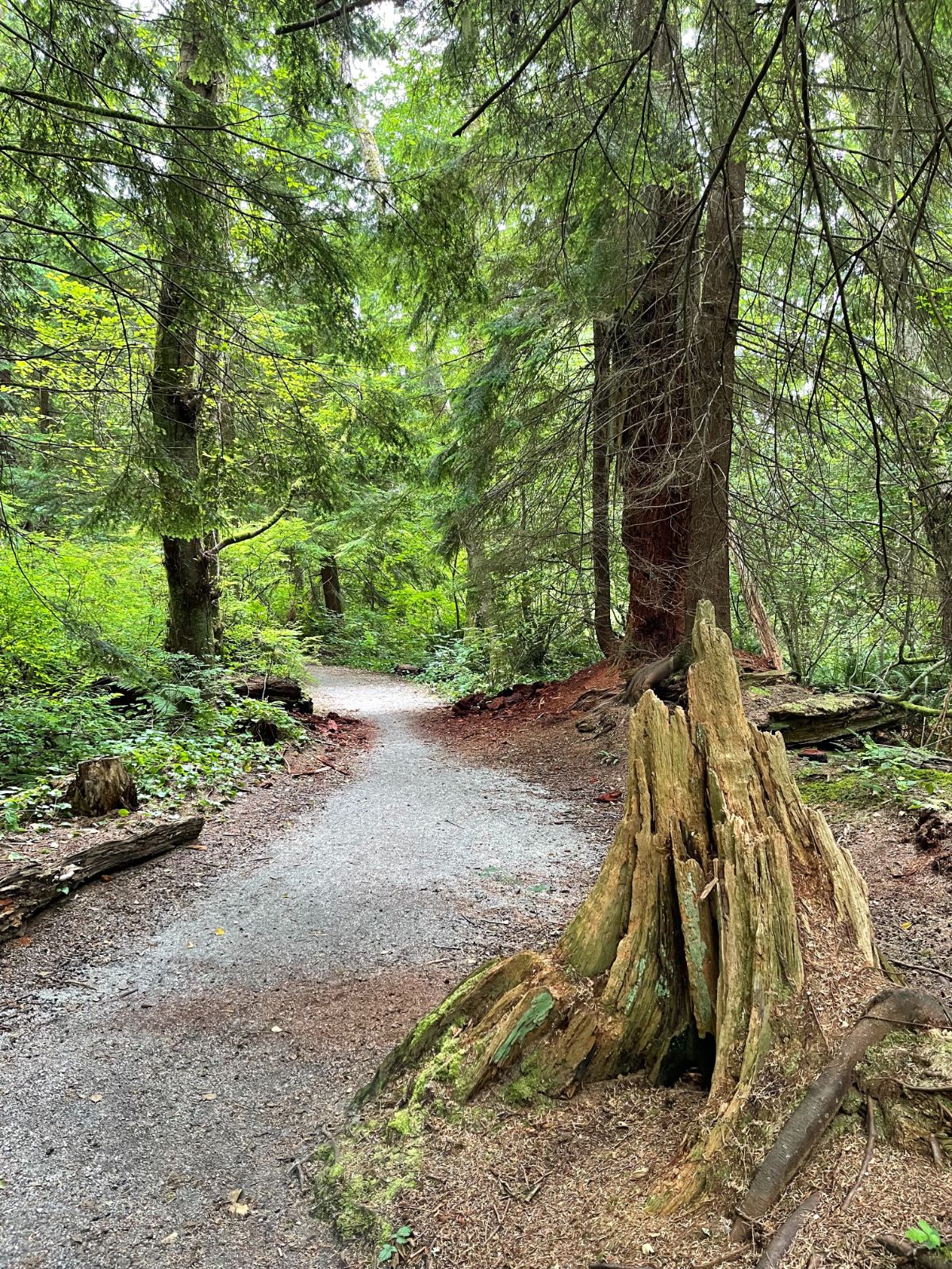 McCartney Creak Park, North Vancouver