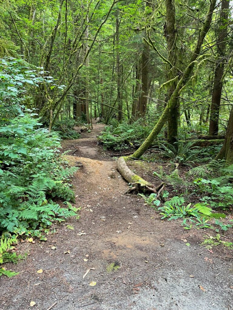 McCartney Creak Park, North Vancouver