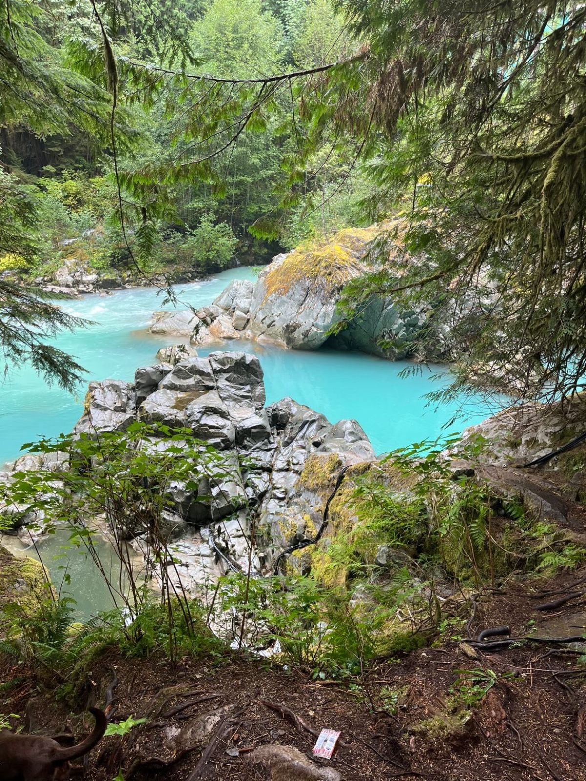 Mamquam Falls Hike, BC