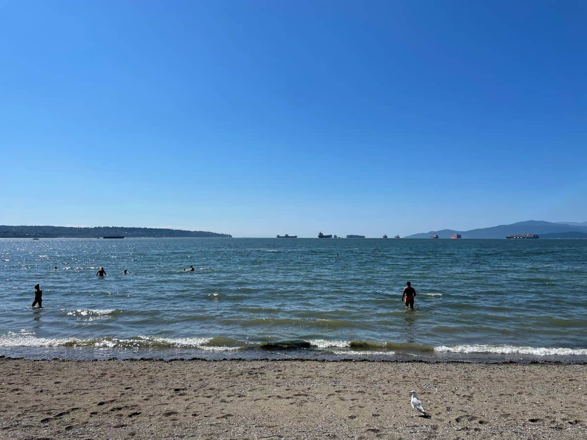 English bay beach looking out into the ocean in vancouver