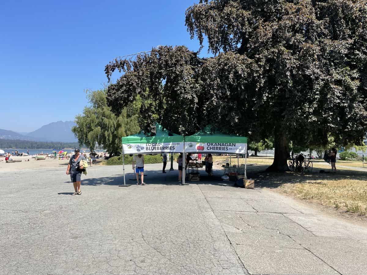 Local fruit stands at kits beach in vancouver