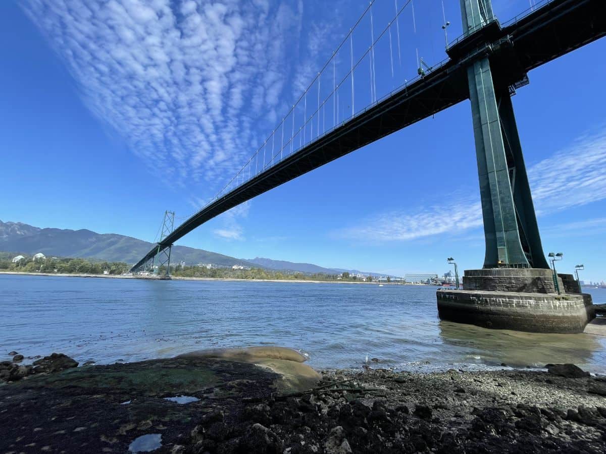 lions gate bridge in stanley park vancouver