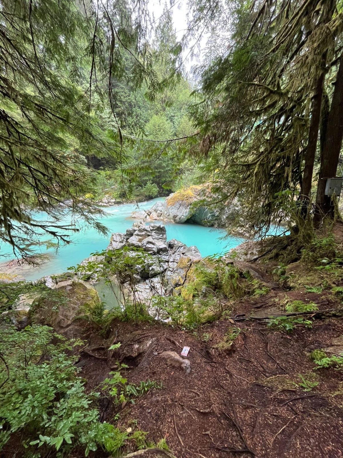 Mamquam Falls Hike, BC