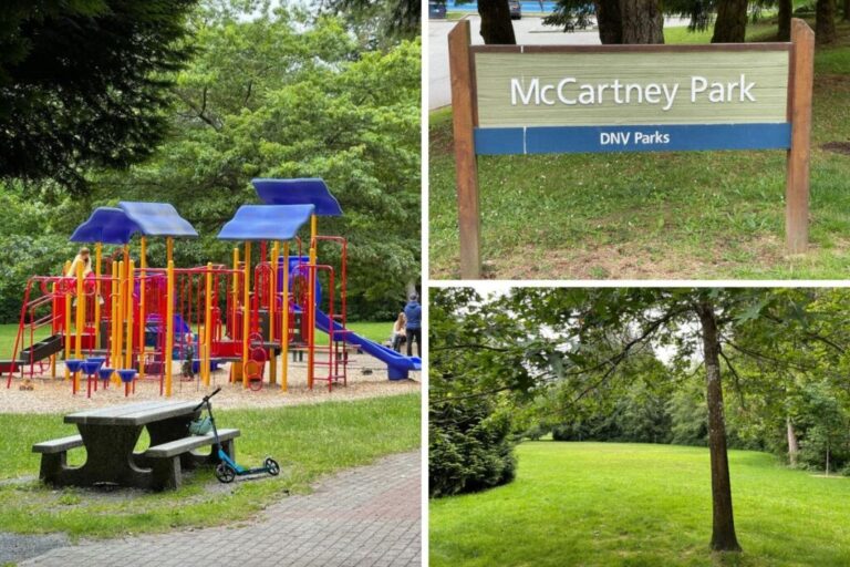 McCartney Creek Park, North Vancouver – Everything You Need to Know (Photos)