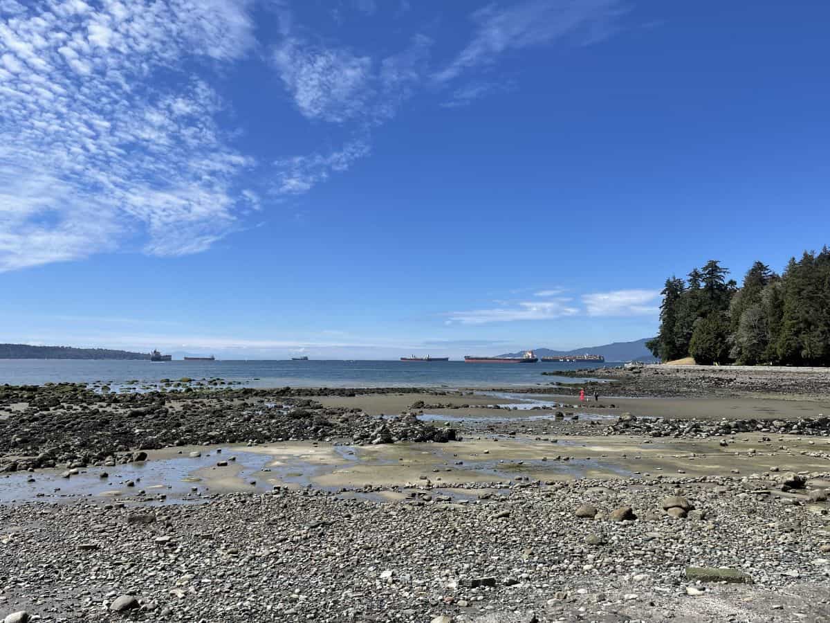 vancouver seawall looking out over the english bay