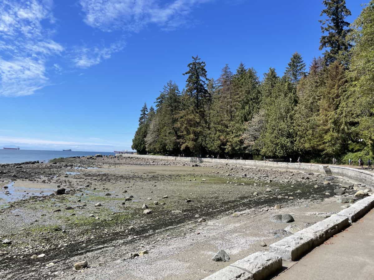 seawall in vancouver between english bay and second beach at low tide