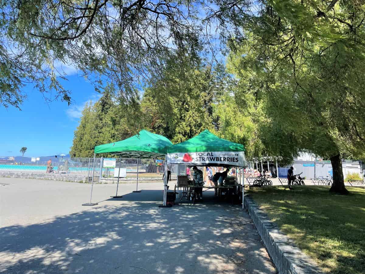 vendor selling local strawberries at second beach in vancouver