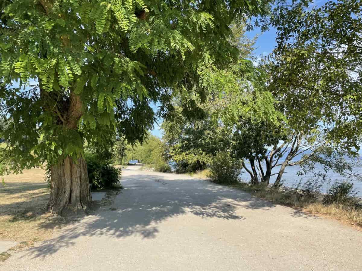 tree shaded path at spanish banks beach in vancouver