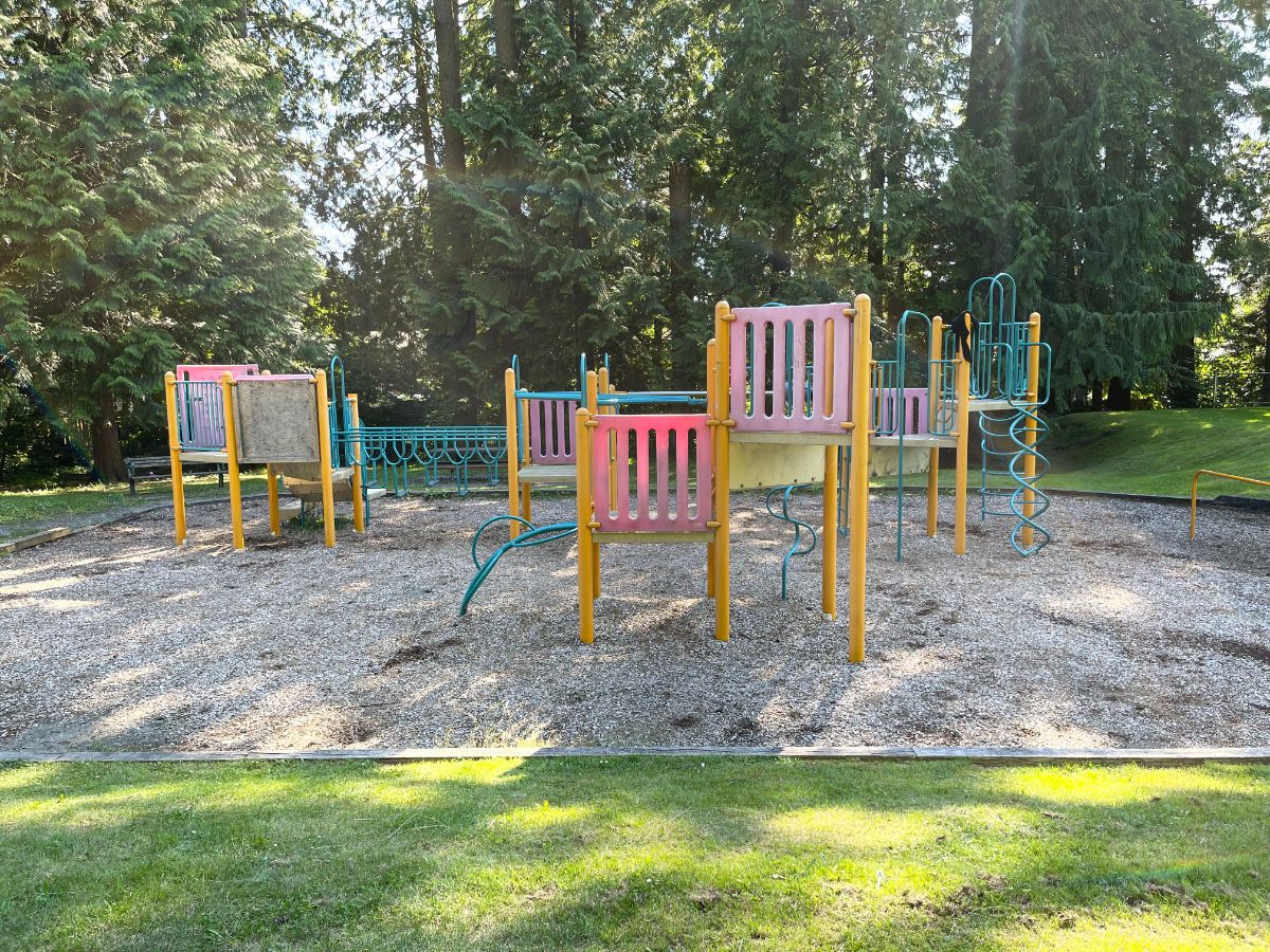 Blueridge Park playground