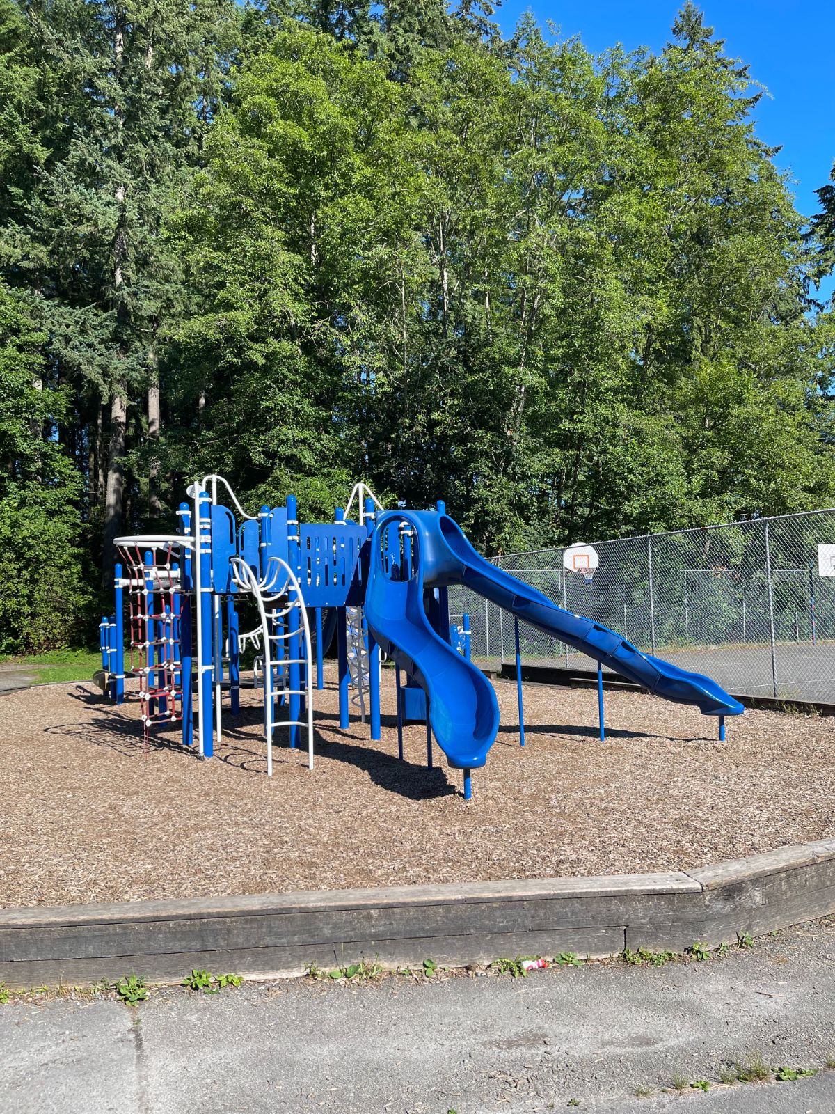 Blueridge School playground