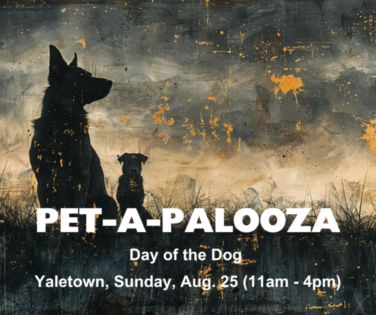 Pet-A-Palooza 2024 Set to Party Poolside in Yaletown (Aug. 25)