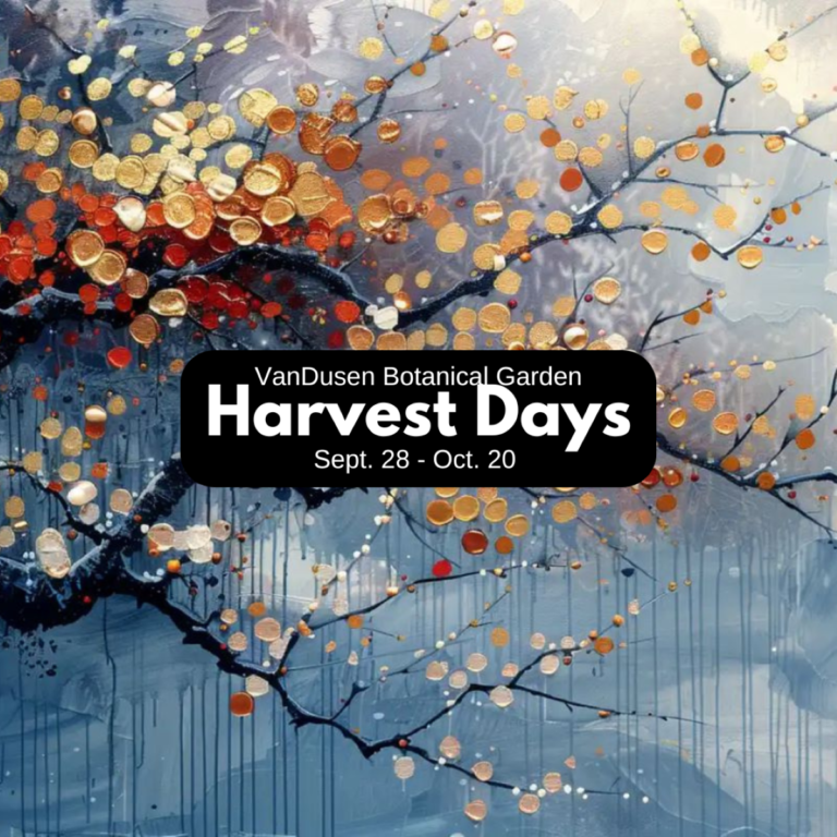 VanDusen Botanical Garden Hosting Harvest Days (Sept. 28 – Oct. 20)