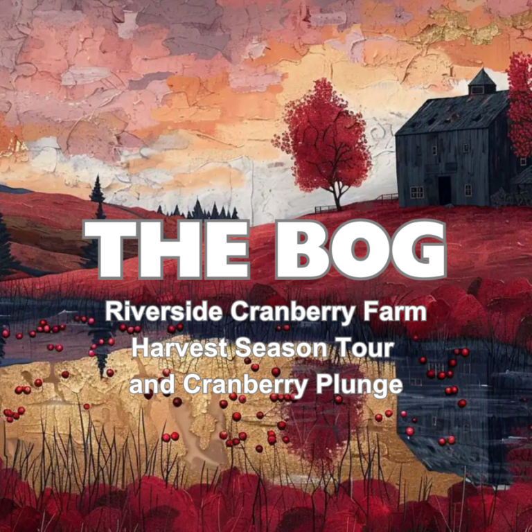 Take the Cranberry Plunge at Langley Farm’s Immersive Harvest Tour (until Oct. 12)