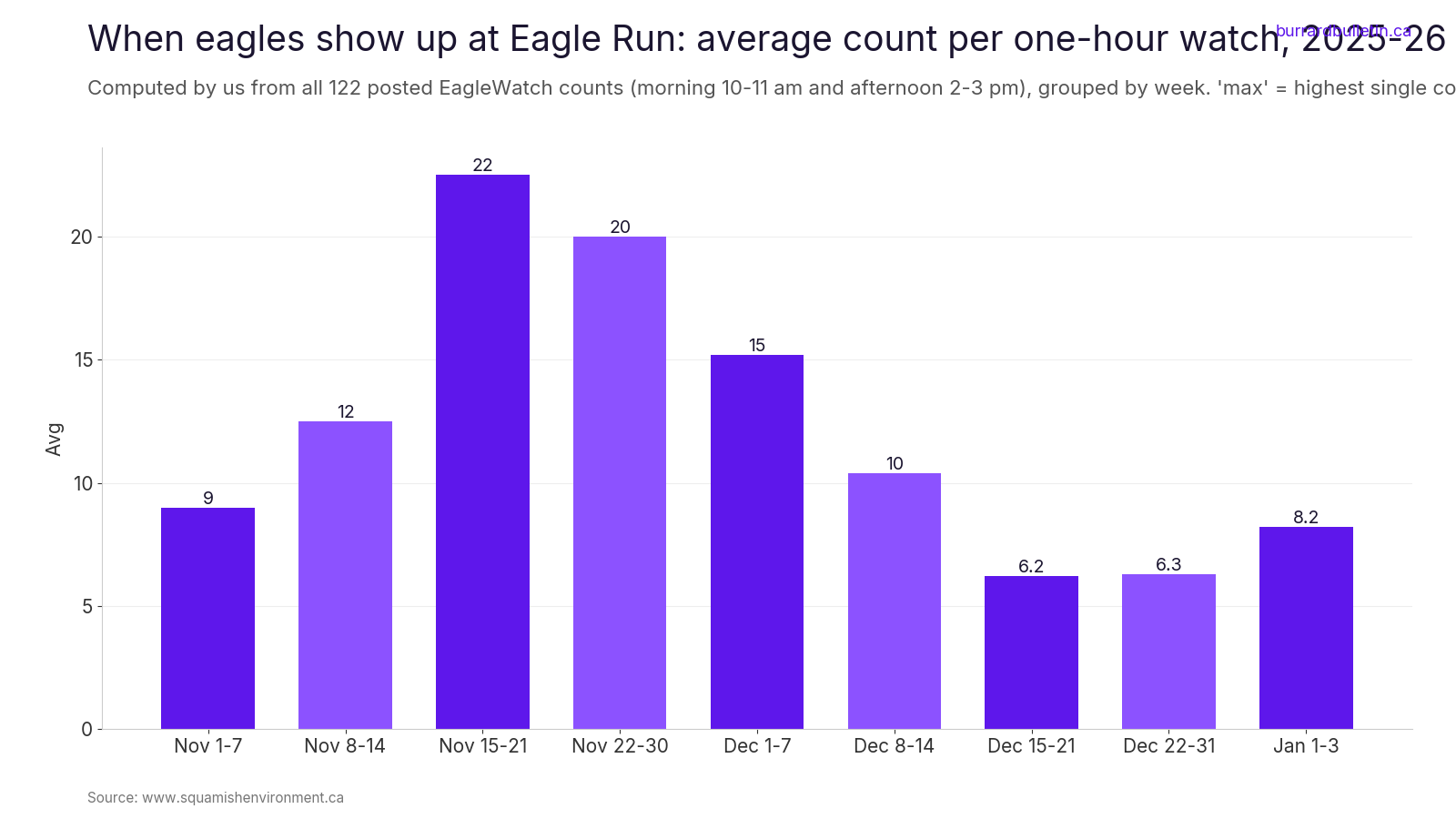 When eagles show up at Eagle Run: average count per one-hour watch, 2025-26 season