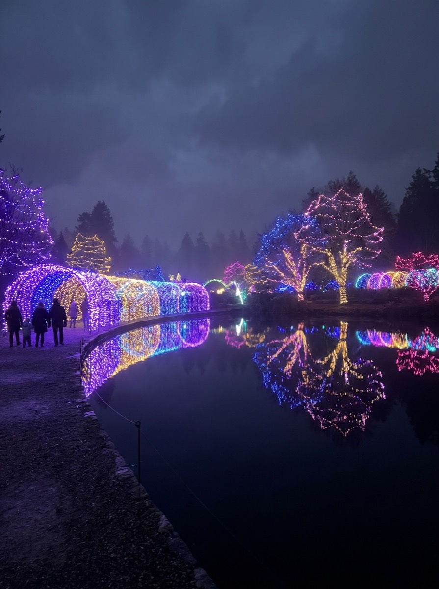 VanDusen Festival of Lights