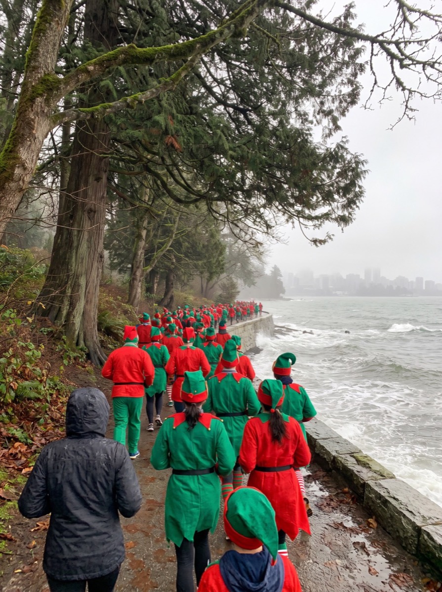 The Big Elf Run