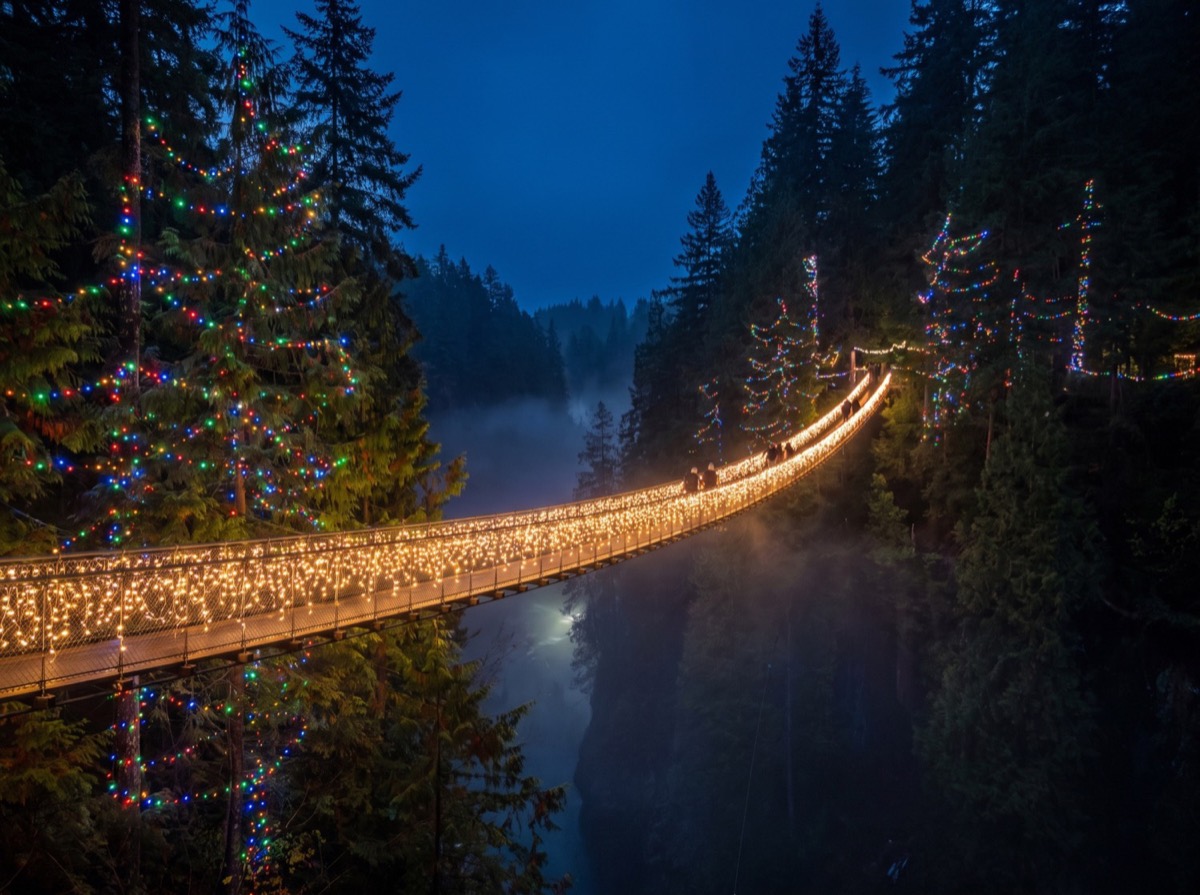 Canyon Lights at Capilano