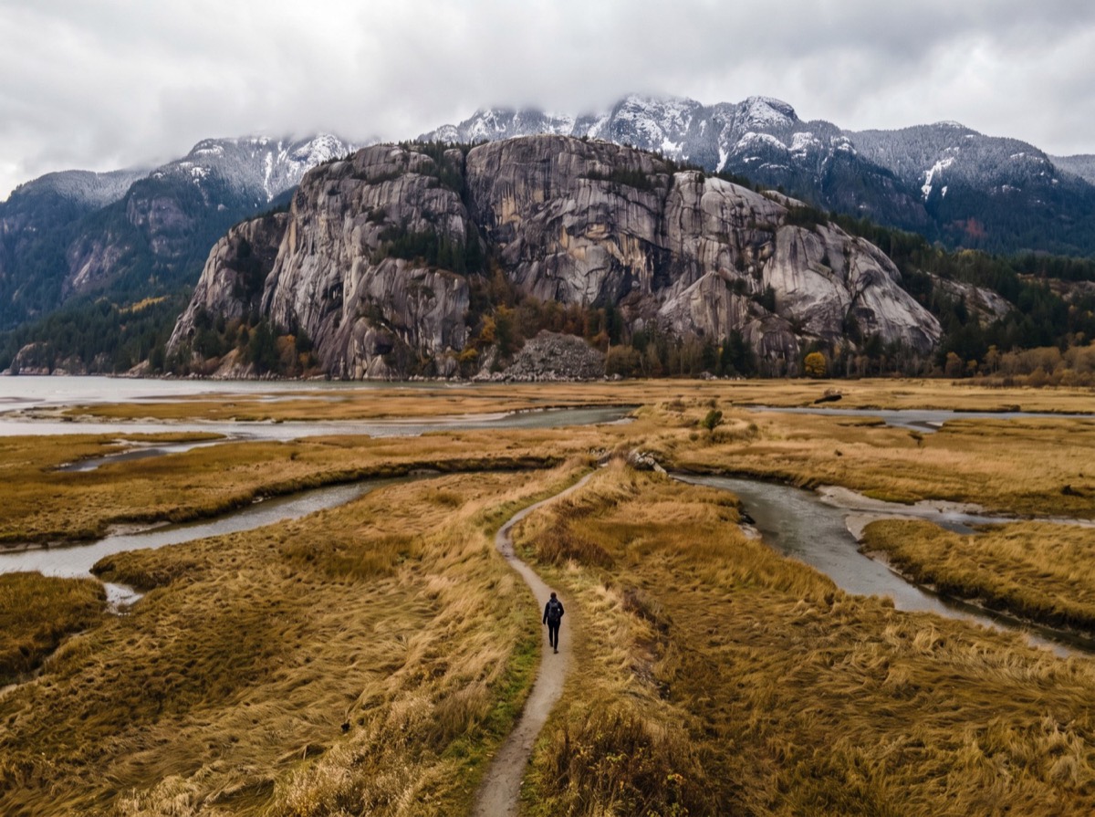 Squamish Estuary trails