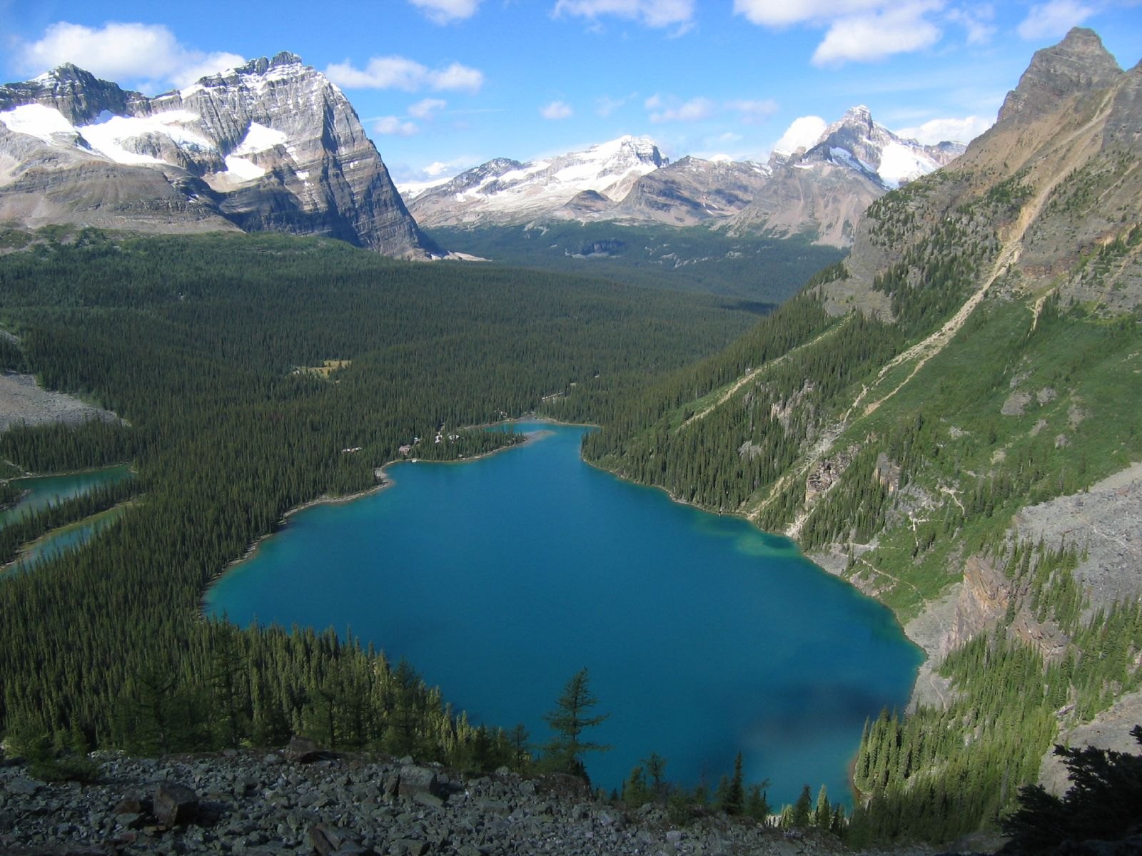 Turquoise Lake O'Hara below snowy peaks in Yoho National Park