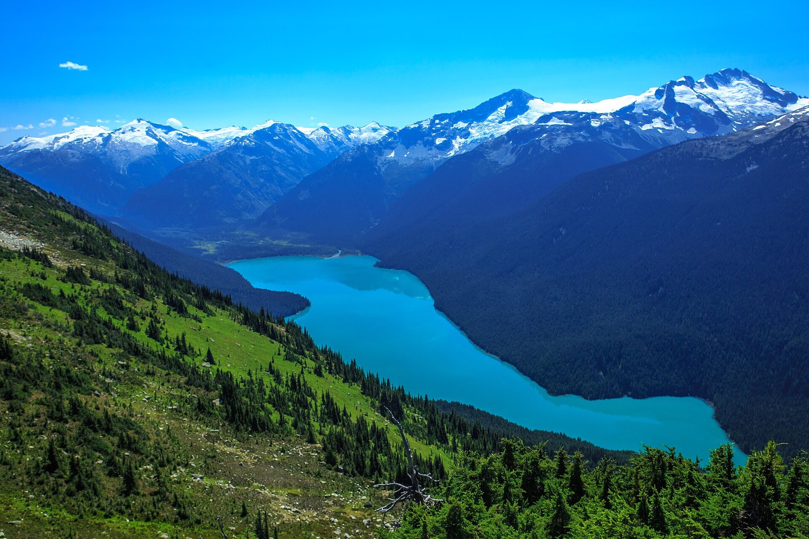 Cheakamus Lake Campground (Garibaldi Park)