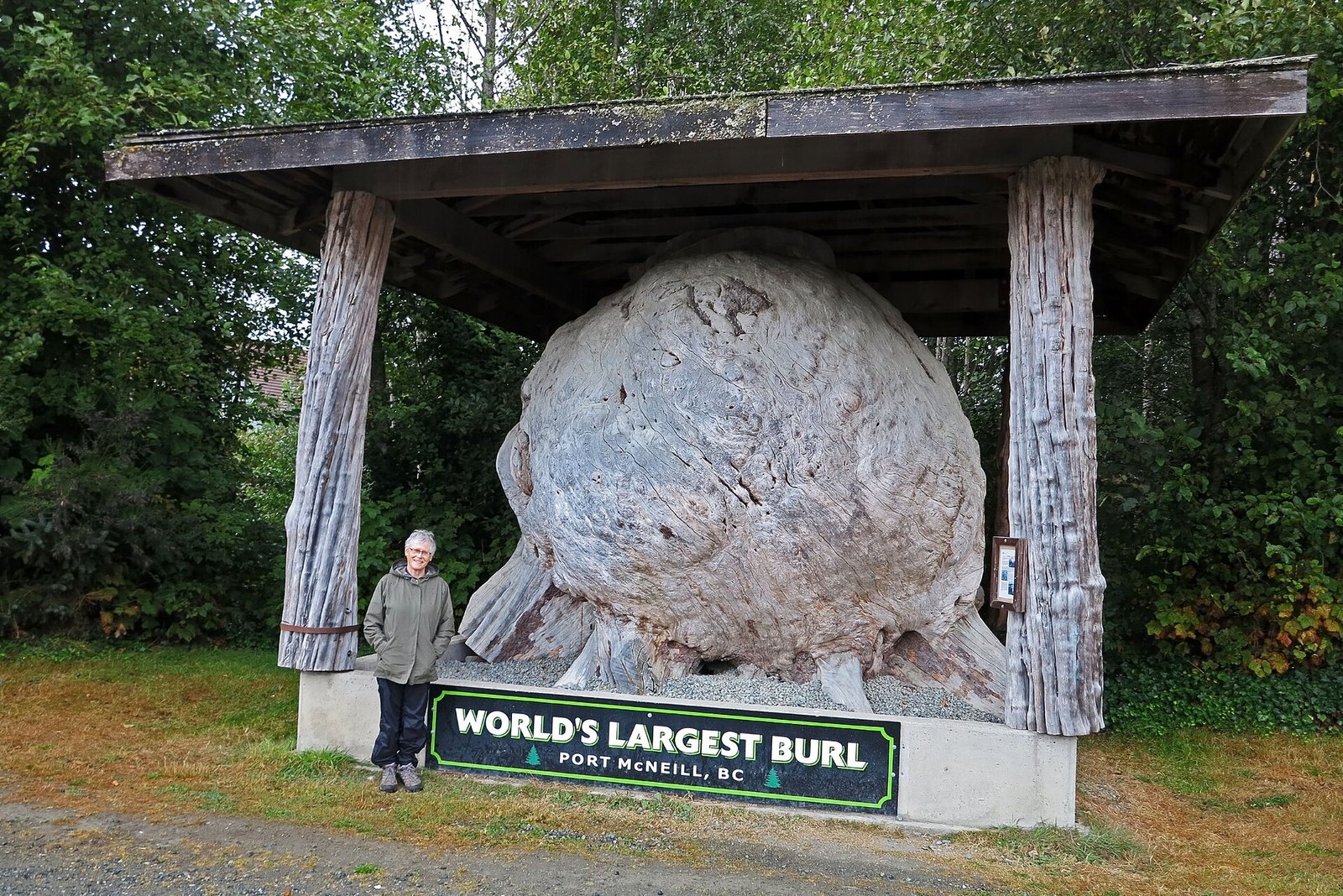 World's Largest Burl (Port McNeill)