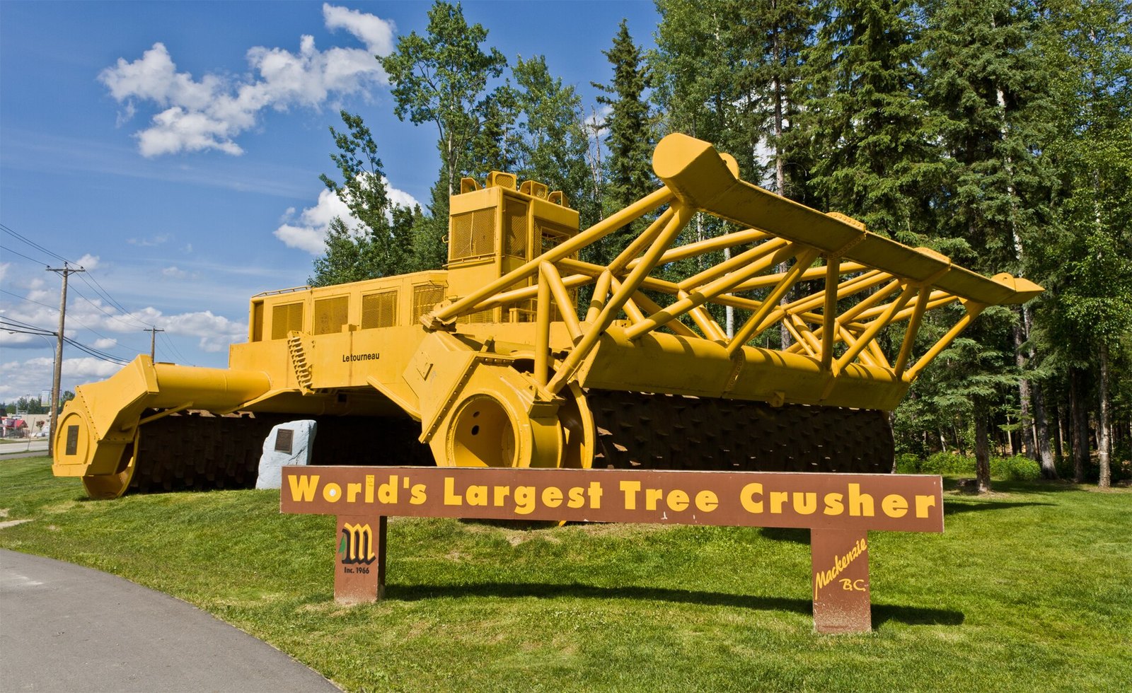 The Tree Crusher (Mackenzie)