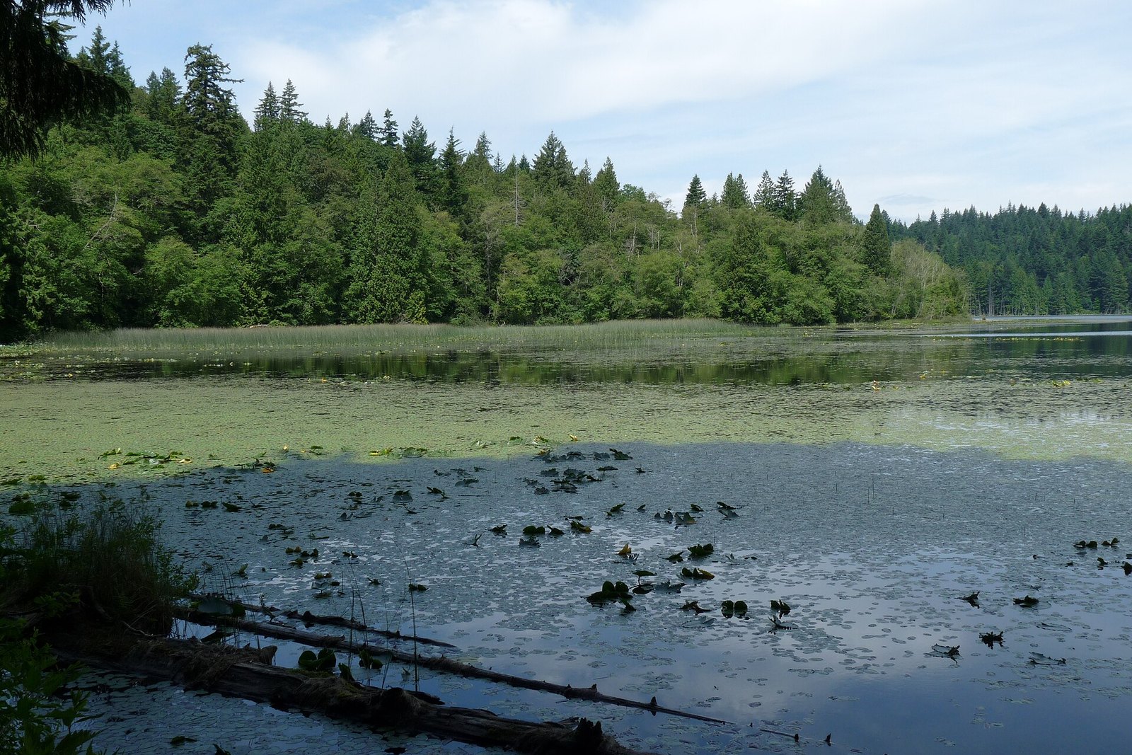 Bowen Island: Crippen Regional Park and Killarney Lake (Snug Cove)