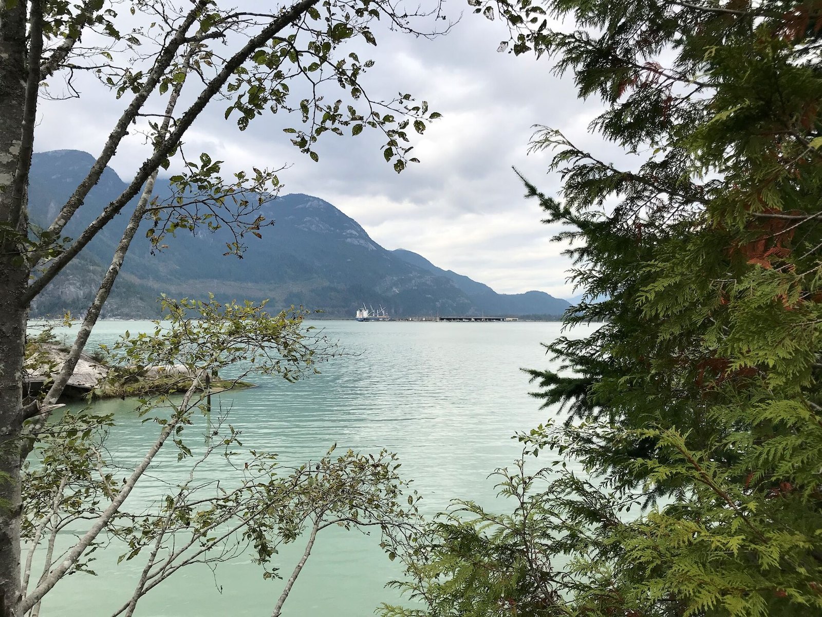 Howe Sound and Squamish Terminals framed by trees, Squamish