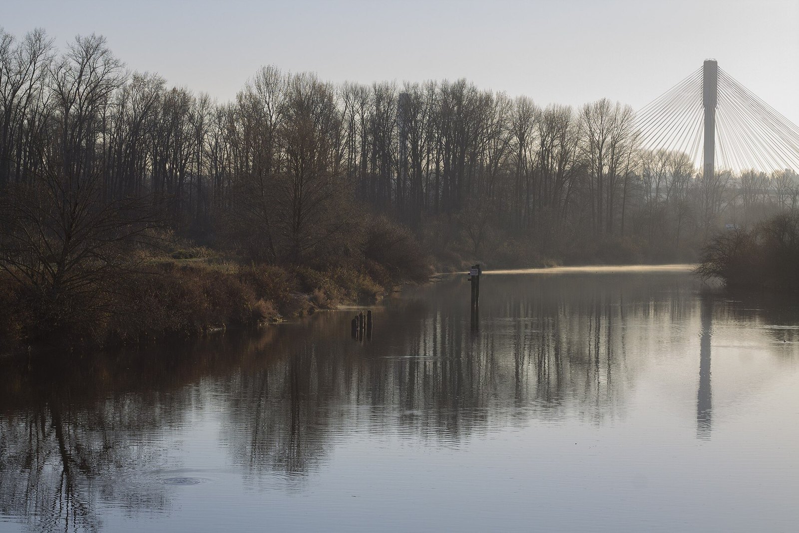 ƛ̓éxətəm, formerly Colony Farm, dyke trails (Coquitlam and Port Coquitlam)