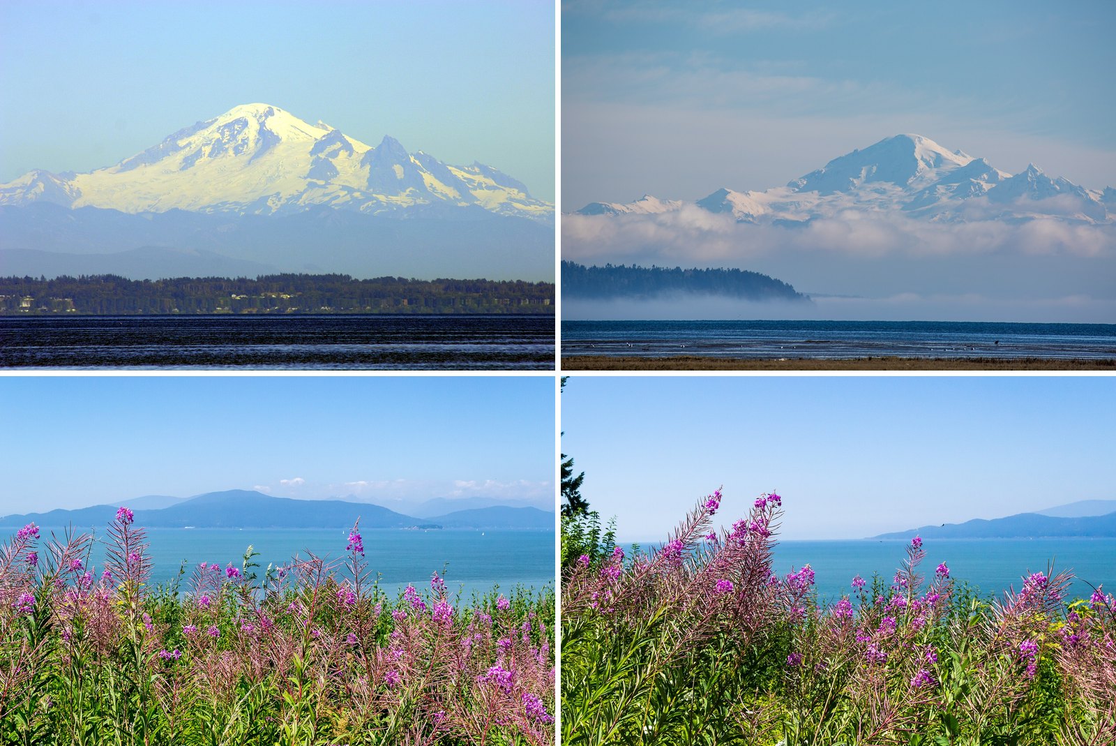 Easy, Flat Walks near Vancouver with Big Mountain Views (no Hiking Boots Needed)