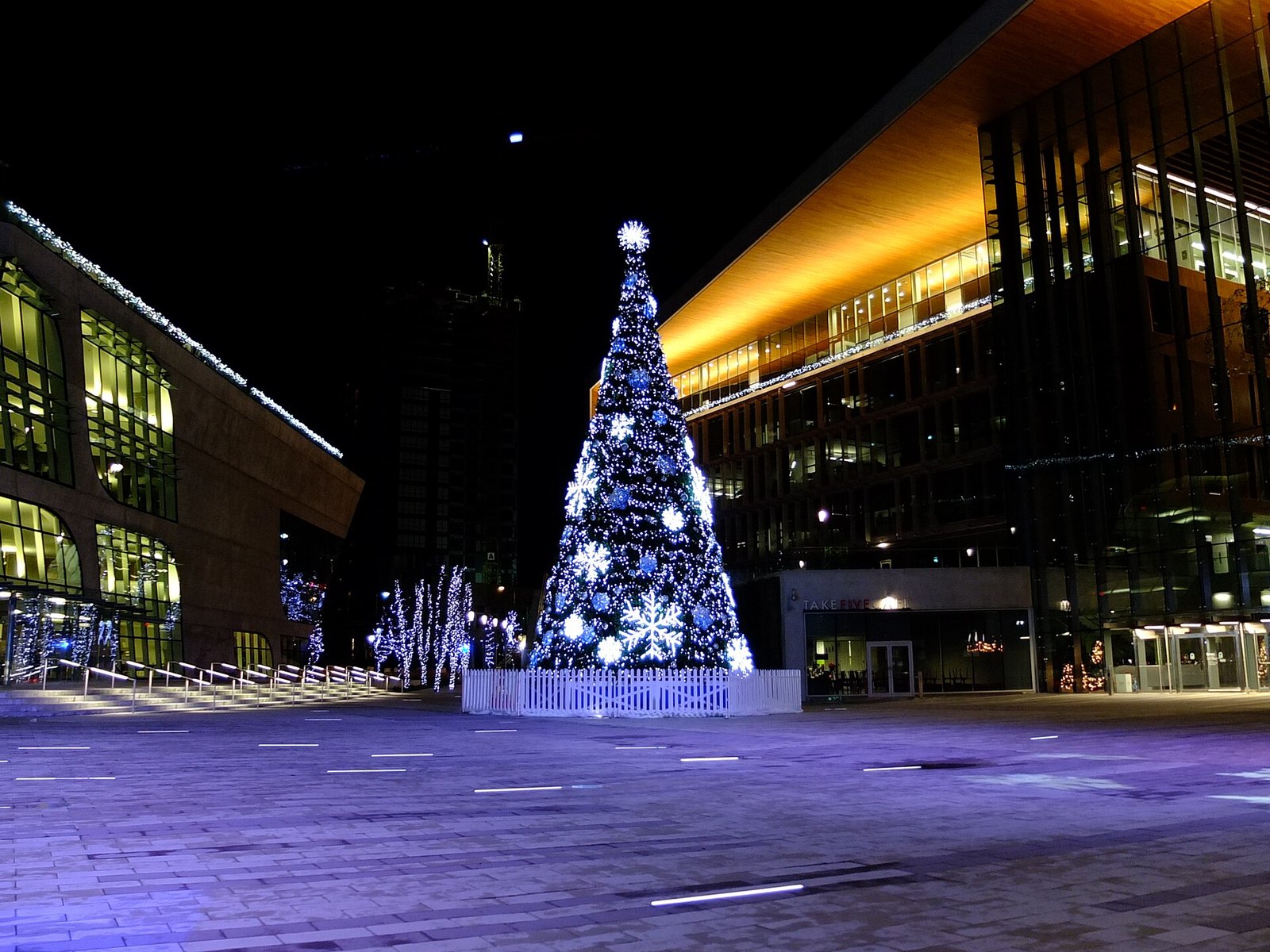 Surrey Tree Lighting Festival & Holiday Market (Surrey)