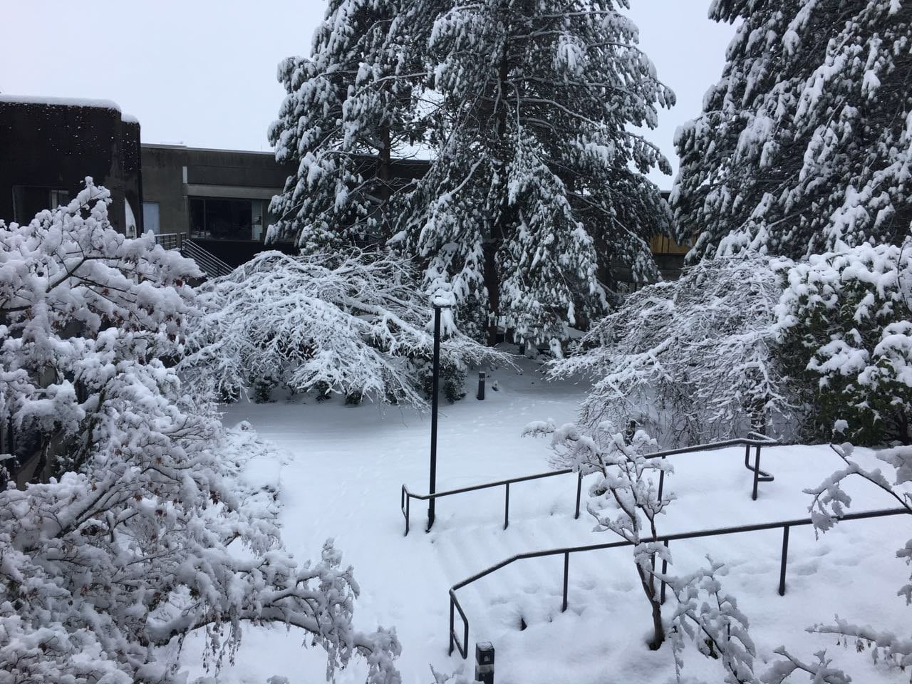 SFU, the 'instant university' (Burnaby Mountain)