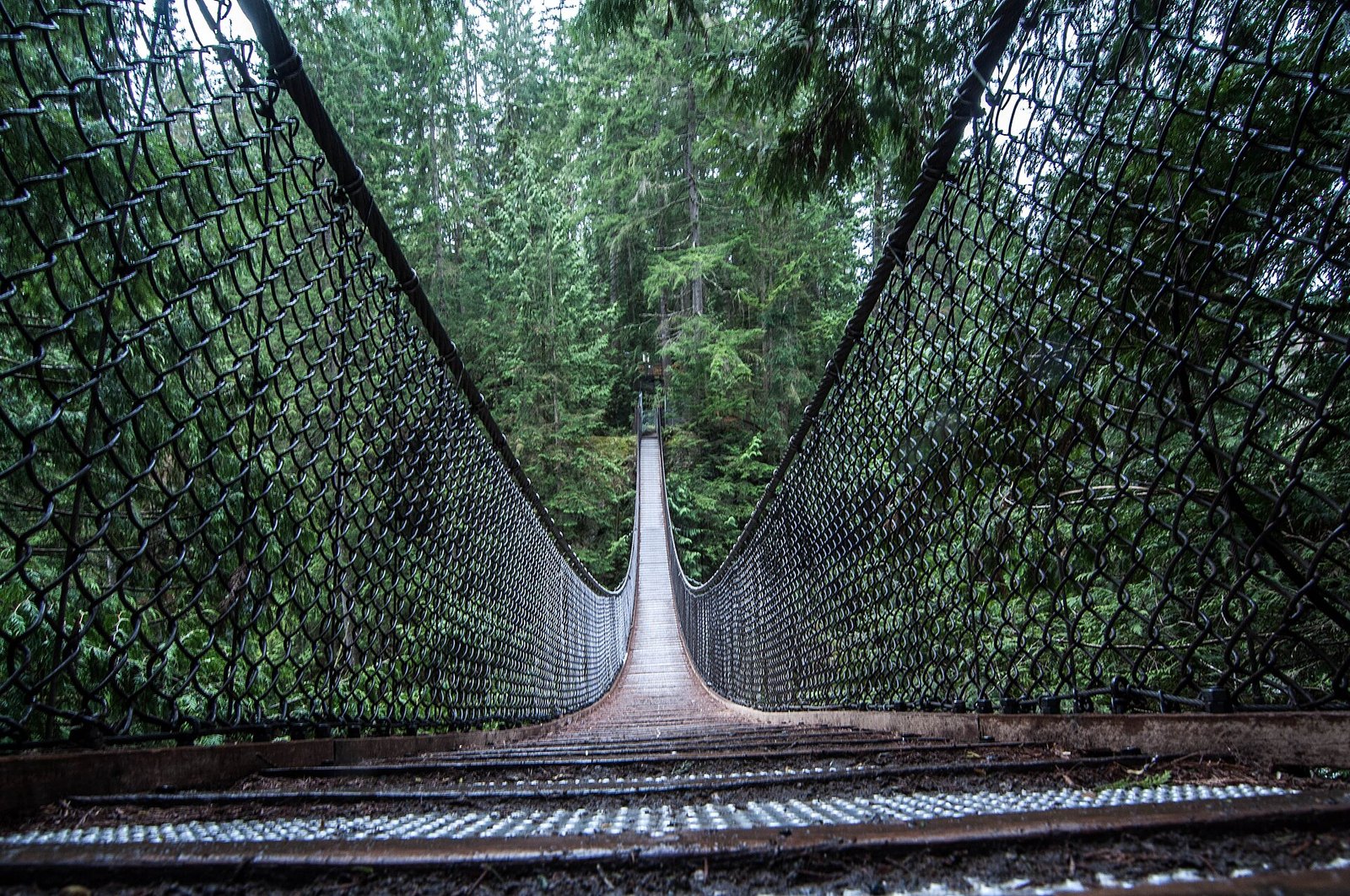 The Lynn Canyon Bridge, Once 10 Cents (Lynn Valley)