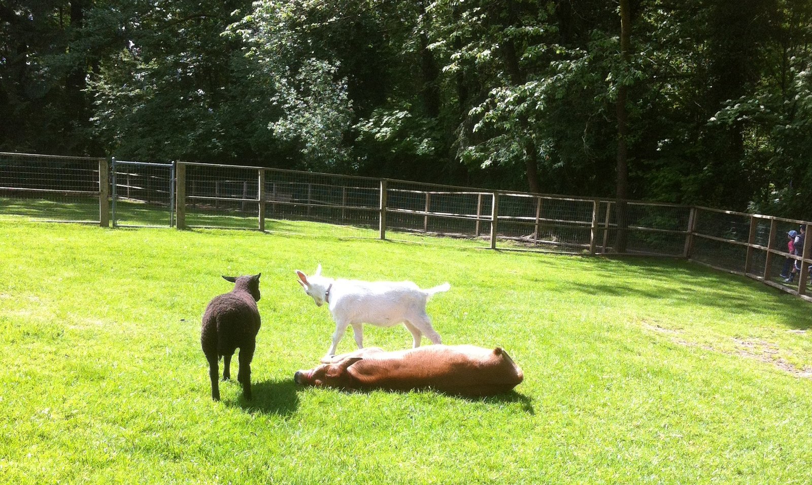 Maplewood Farm (District of North Vancouver)