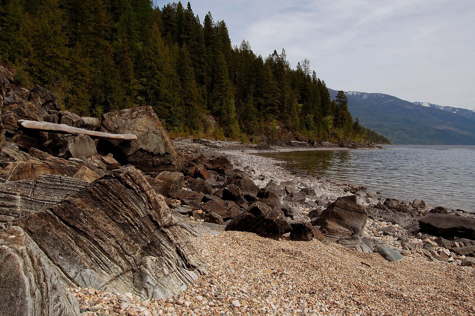 Rocky pebble shoreline and forest along Kootenay Lake