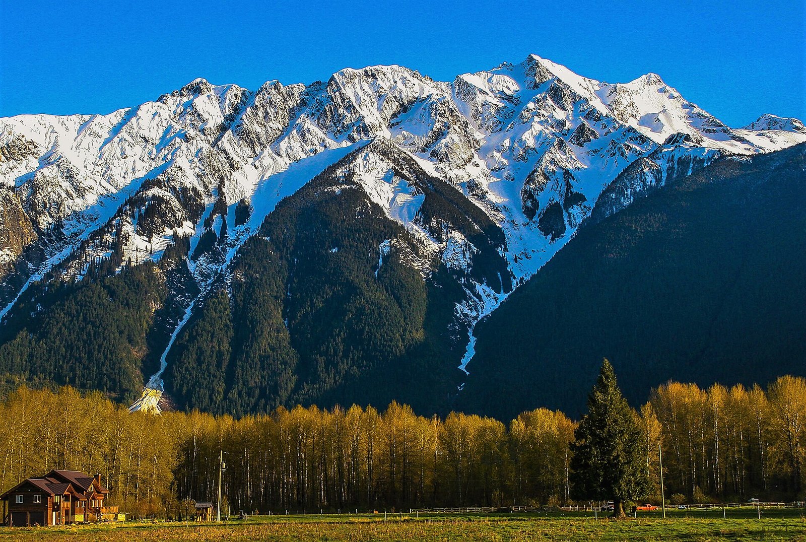 Snowy Mount Currie above Pemberton valley farmland and house