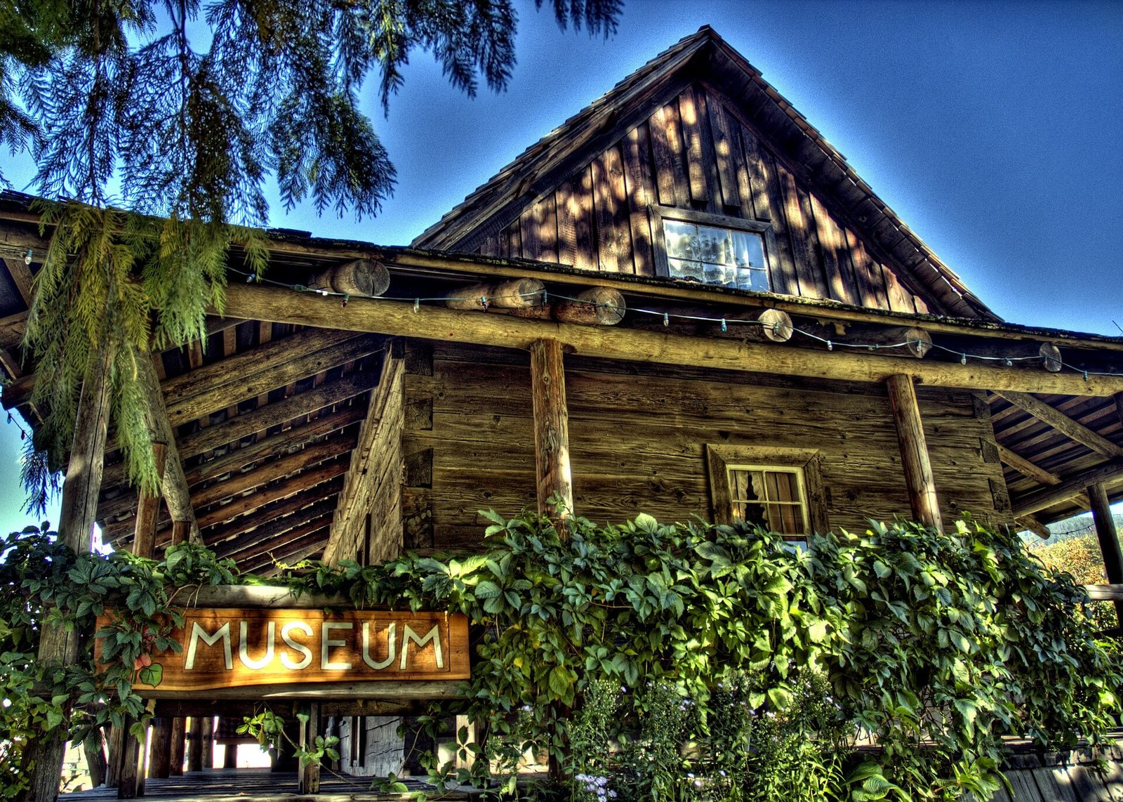 Rustic log museum building with vines and wooden sign