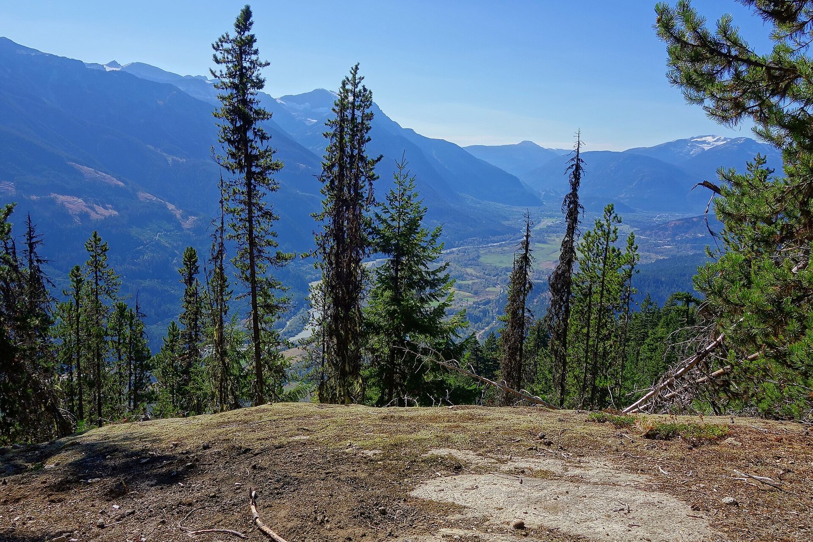 Pemberton Valley farmland and mountains seen from forested bluff