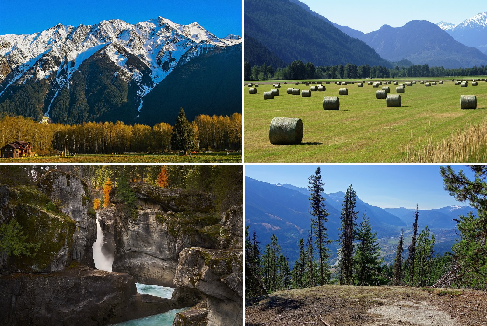 Pemberton Farms Where You Can Pick Your Own This Fall