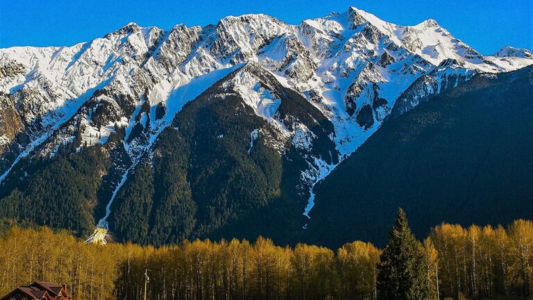 Pemberton Farms Where You Can Pick Your Own This Fall