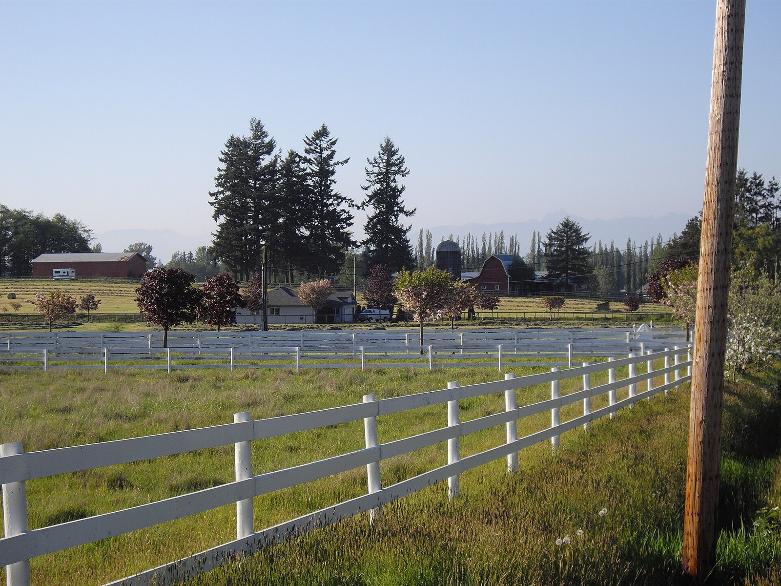 White-fenced pastures and a red barn near 216 Street and 27 Avenue in rural Langley (not Frosty's farm)