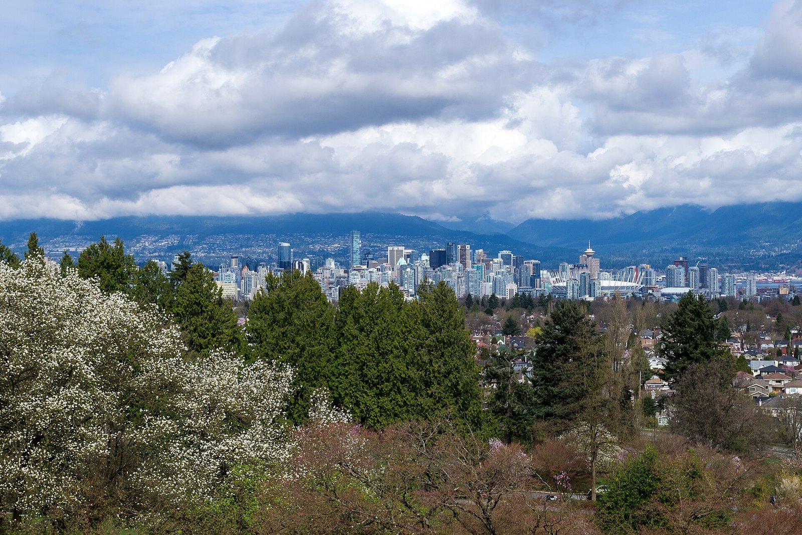 Queen Elizabeth Park (Vancouver)