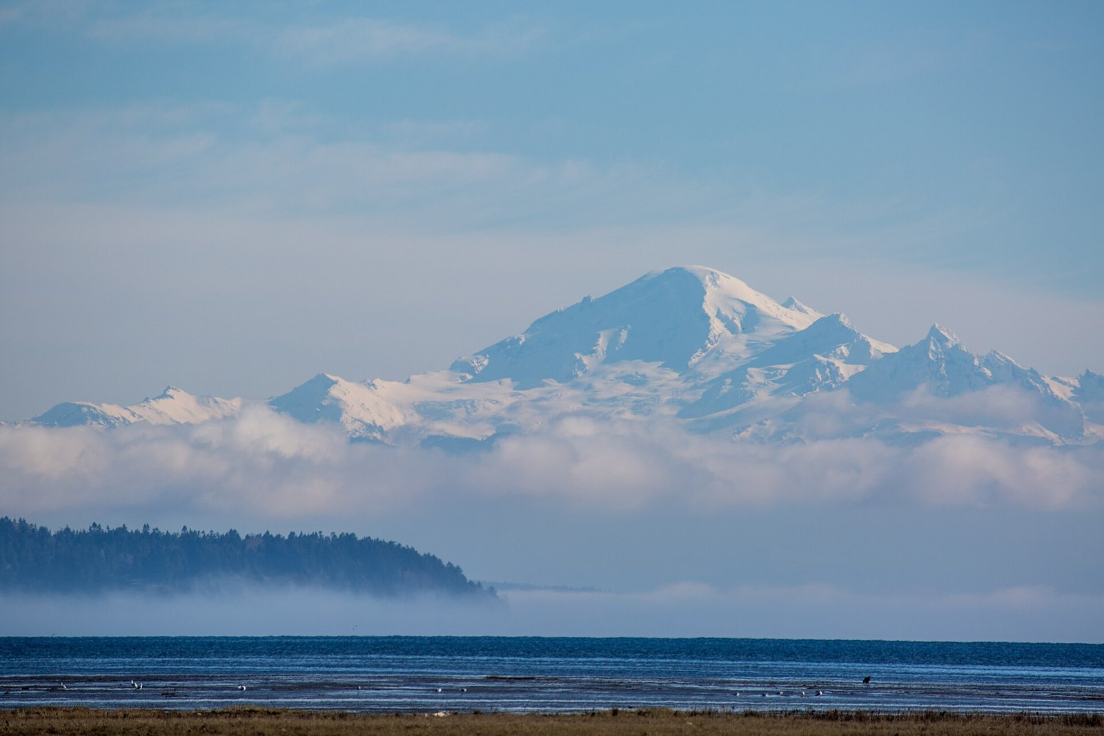 Mount Baker above clouds across Boundary Bay tidal flats