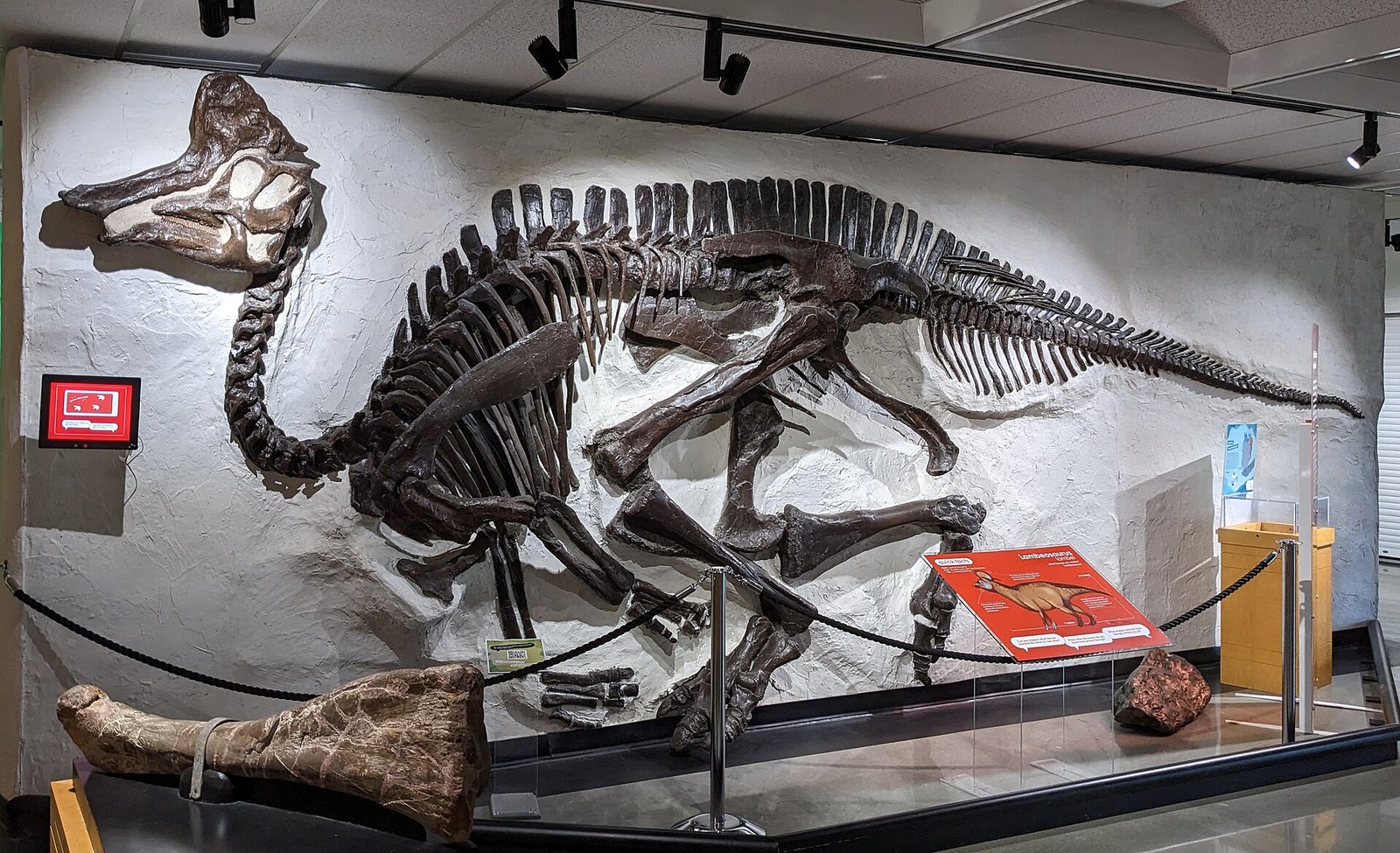 Pacific Museum of Earth (UBC)