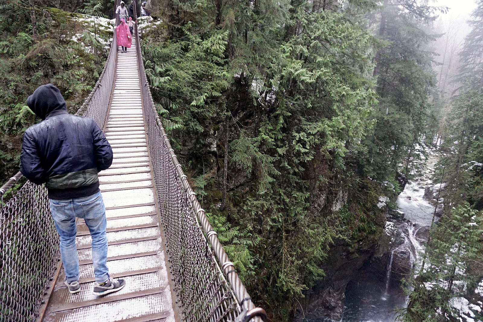 Lynn Canyon Park and Suspension Bridge (North Vancouver)