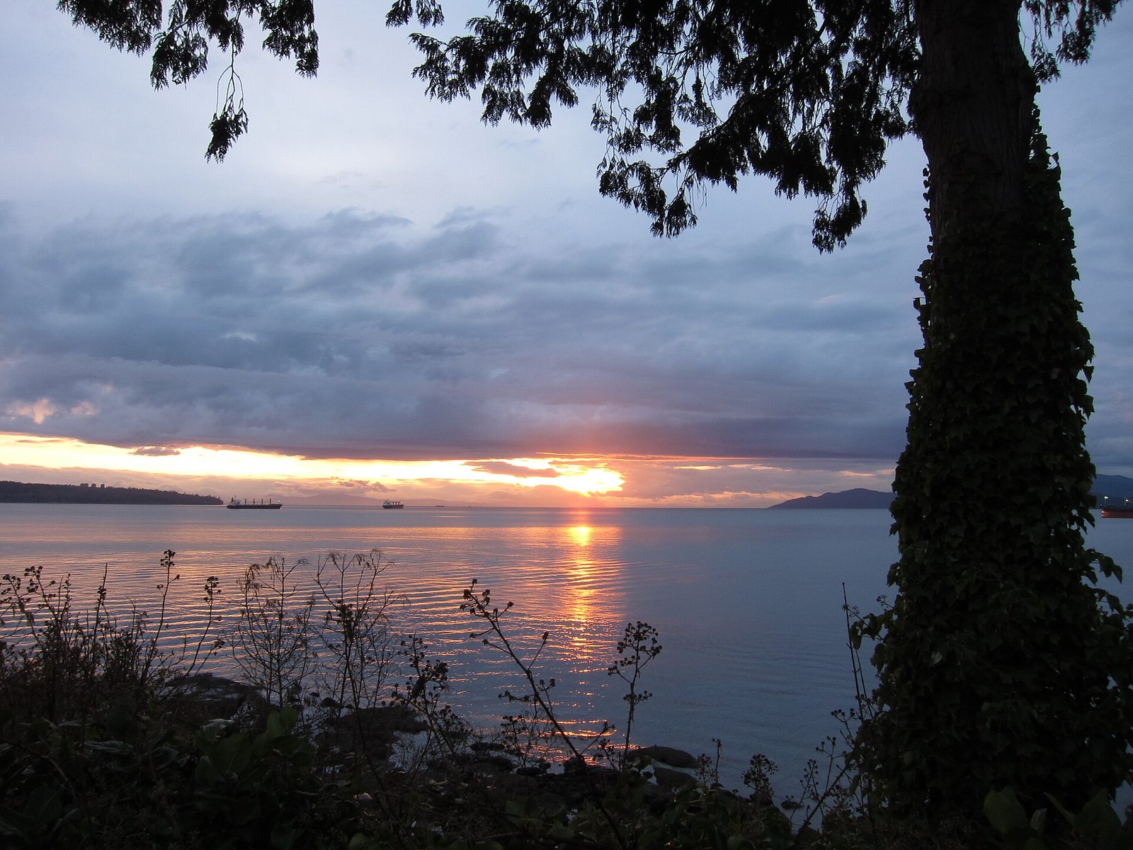 Sunset over English Bay from Stanley Park shoreline, freighters anchored
